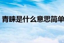 青睞是什么意思簡單的說（青睞是什么意思）