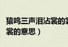 猿鳴三聲淚沾裳的裳咋讀（猿鳴三聲淚沾裳的裳的意思）