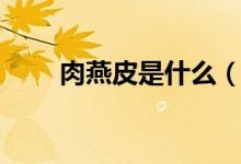 肉燕皮是什么（肉燕皮是什么做的）