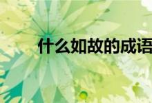 什么如故的成語（什么如故的成語）
