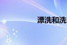 漂洗和洗滌有什么區(qū)別