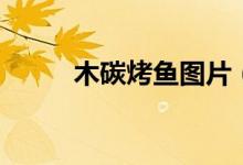 木碳烤魚圖片（木碳烤魚的做法）