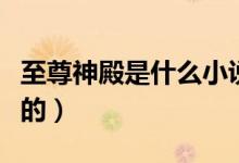 至尊神殿是什么小說(shuō)（至尊神殿是什么小說(shuō)里的）