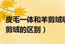 皮毛一體和羊剪絨哪個上檔次（皮毛一體和羊剪絨的區(qū)別）