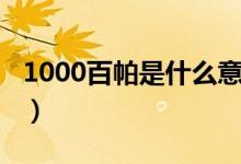 1000百帕是什么意思（1000百帕是什么意思）