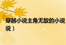 穿越小說(shuō)主角無(wú)敵的小說(shuō)（有什么主角很色很無(wú)敵穿越的小說(shuō)）