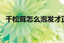 干松茸怎么泡發(fā)才正確（干松茸怎么泡發(fā)）