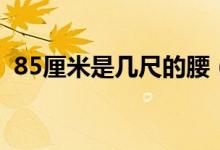 85厘米是幾尺的腰（85厘米是幾尺幾的腰）