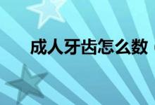 成人牙齒怎么數(shù)（成人牙齒怎么矯正）