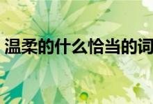 溫柔的什么恰當?shù)脑~語（溫柔的什么填詞語）