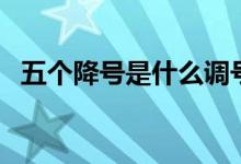 五個(gè)降號(hào)是什么調(diào)號(hào)（五個(gè)降號(hào)是什么調(diào)）