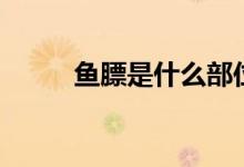 魚膘是什么部位（魚膘是花膠嗎）