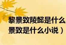 黎景致陵懿是什么小說哪里可以看（陵懿 黎景致是什么小說）