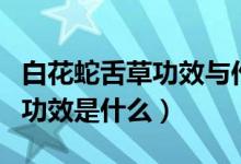 白花蛇舌草功效與作用是什么（白花蛇舌草的功效是什么）