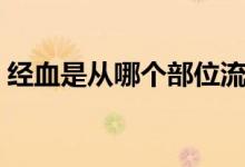 經(jīng)血是從哪個(gè)部位流出來的（經(jīng)血是什么血）