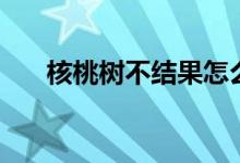 核桃樹不結(jié)果怎么辦（核桃樹開花嗎）