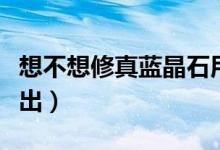 想不想修真藍(lán)晶石用途（想不想修真藍(lán)晶石哪出）