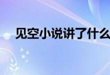 見空小說講了什么（見空小說講的什么）