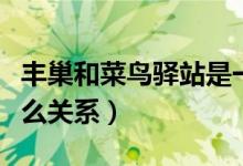 豐巢和菜鳥(niǎo)驛站是一家嗎（快鳥(niǎo)驛站跟豐巢什么關(guān)系）