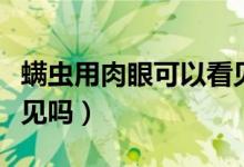 螨蟲用肉眼可以看見嗎（螨蟲用肉眼可以看得見嗎）