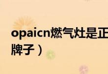 opaicn燃氣灶是正品嗎（opaicn燃氣灶是啥牌子）