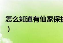怎么知道有仙家保護(hù)你（仙家一般保護(hù)什么人）