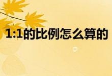 1:1的比例怎么算的（1比1的比例怎么計算）