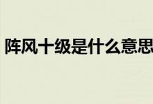 陣風十級是什么意思（陣風十級是什么概念）