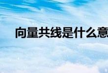 向量共線是什么意思（向量共線是什么）