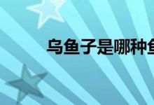 烏魚(yú)子是哪種魚(yú)（烏魚(yú)子什么梗）