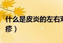 什么是皮炎的左右對稱分布（什么是皮炎性濕疹）