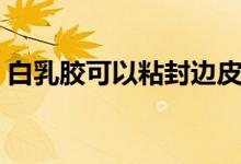 白乳膠可以粘封邊皮嗎（白乳膠可以粘什么）