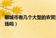 聊城市有幾個大型的農(nóng)貿(mào)批發(fā)市場（山東聊城有大型批發(fā)市場嗎）