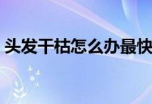 頭發(fā)干枯怎么辦最快方法（頭發(fā)干枯怎么辦）