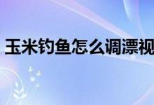 玉米釣魚怎么調(diào)漂視頻（玉米釣魚怎么掛鉤）
