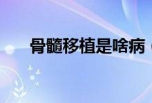 骨髓移植是啥病（骨髓移植是手術(shù)嗎）