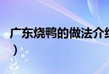 廣東燒鴨的做法介紹（廣東燒鴨的做法與配方）
