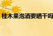 桂木果泡酒要曬干嗎（桂木果泡酒要曬干嗎）