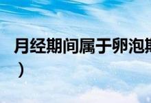 月經(jīng)期間屬于卵泡期嘛（月經(jīng)期間屬于什么期）
