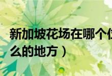 新加坡花場(chǎng)在哪個(gè)位置（新加坡掉花場(chǎng)是干什么的地方）