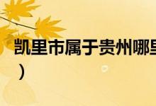 凱里市屬于貴州哪里（凱里市屬于貴州哪個(gè)市）
