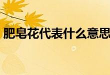 肥皂花代表什么意思?。ㄋ头试砘ㄊ裁匆馑迹?class=