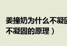 姜撞奶為什么不凝固可以喝嗎（姜撞奶為什么不凝固的原理）