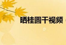 曬桂圓干視頻（曬桂圓干怎么曬）