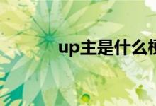 up主是什么梗（UP主是什么）