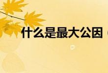 什么是最大公因（什么是最大公約數(shù)）