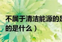 不屬于清潔能源的是哪一個（不屬于清潔能源的是什么）