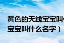 黃色的天線寶寶叫什么?（天線寶寶里黃色的寶寶叫什么名字）