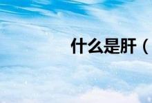 什么是肝（什么是肝損傷）