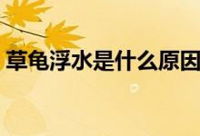 草龜浮水是什么原因（草龜浮水是什么原因）